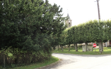 place de l'eglise tilleuls